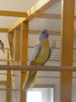 /album/fotogalerie-fotogalerie/a13-10-2012-035-jpg1/